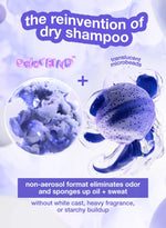 Mini AirWash™ dry shampoo